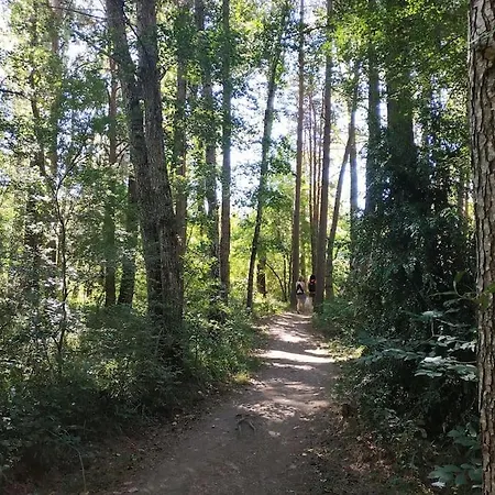 Mariposas De 公寓 比利亚努亚