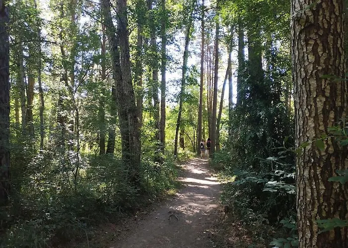 Mariposas De Lägenhet Villanúa